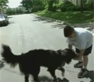 How Can Children Avoid Dog Bites?