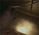 Mold