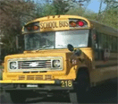 School Bus Safety