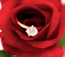 Valentine's Day Gifts